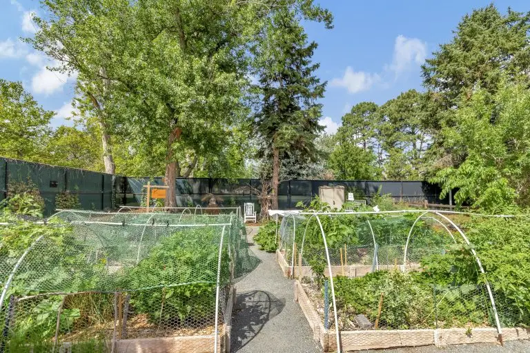 Roots of Recovery Garden